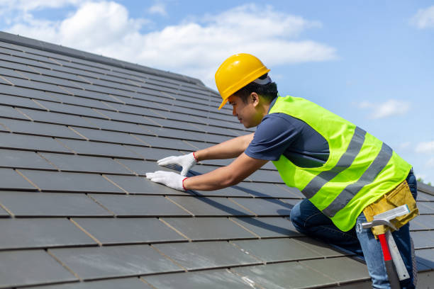 Best Roof Gutter Cleaning  in South Whitley, IN