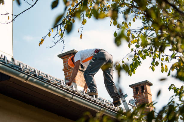 Best Roof Repair Services  in South Whitley, IN