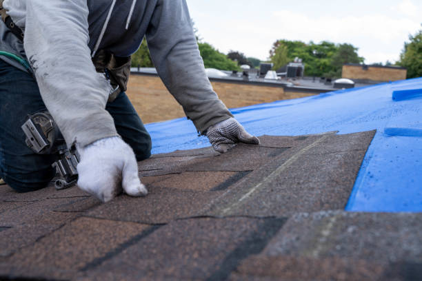 Best Commercial Roofing Services  in South Whitley, IN