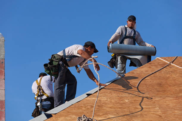 Roof Gutter Cleaning in South Whitley, IN