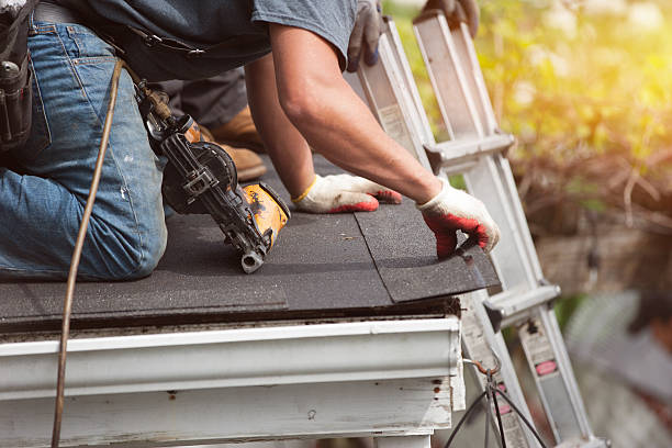 Best Roof Leak Repair  in South Whitley, IN